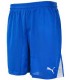PUMA Pantalón corto TEAM. Royal