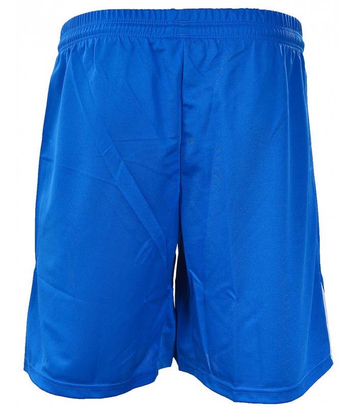PUMA Pantalón corto TEAM. Royal