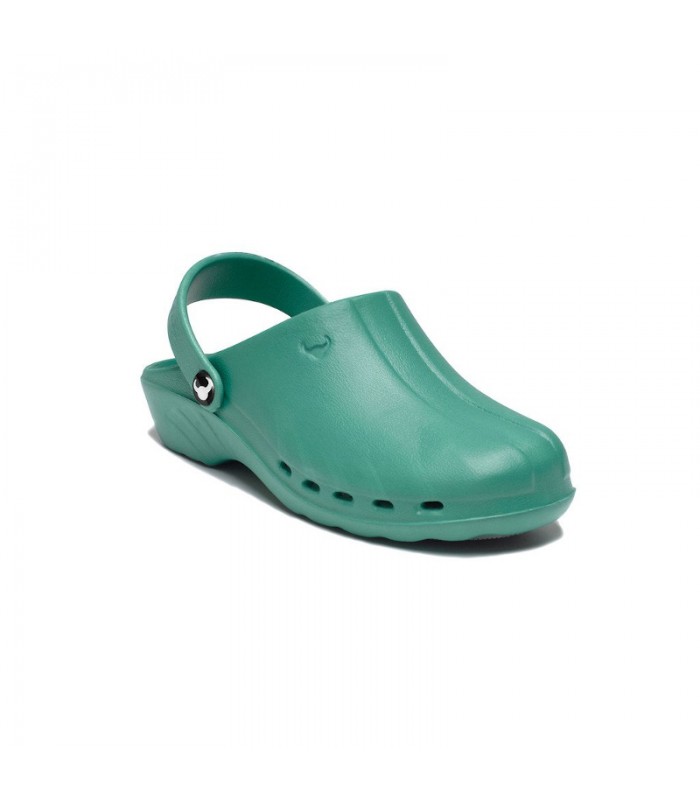 Suecos, Zuecos sanitarios originales y de gran confort