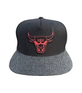 Mitchell & Ness gorra Chicago Bulls