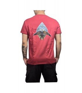 TBS camisetas algodón ecológico unisex. ALADO-2