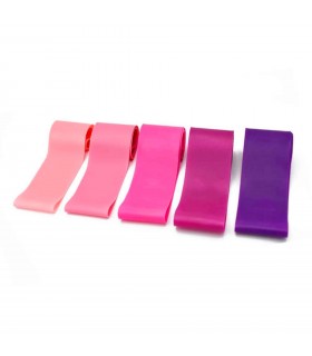 SET 5 BANDAS ELÁSTICAS 2.0