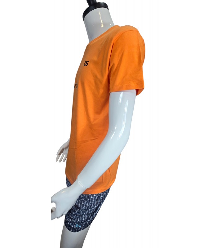 TBS camisetas algodón ecológico unisex. WINGED