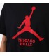 NBA camiseta m/corta CHICAGO BULLS