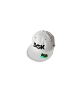 Reebok Baseball cap Rbk Dgk skater