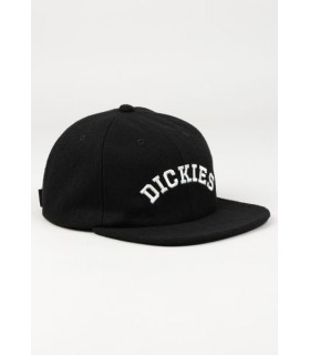 DICKIES WEST VALE CAP