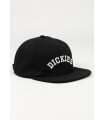 DICKIES WEST VALE CAP