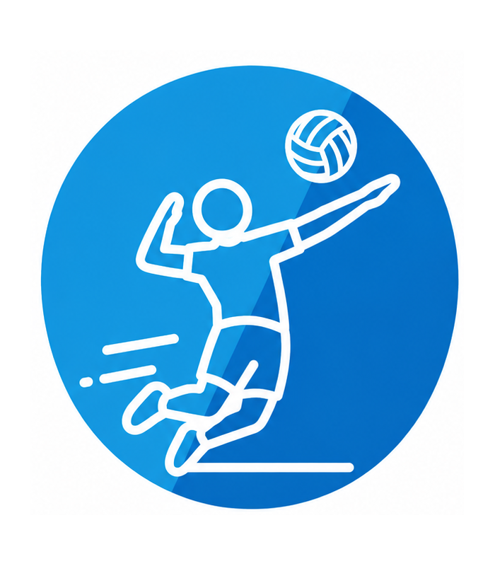 BALÓN REAL MADRID - VOLLEYBALL D21CM T5