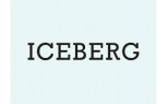 ICEBERG
